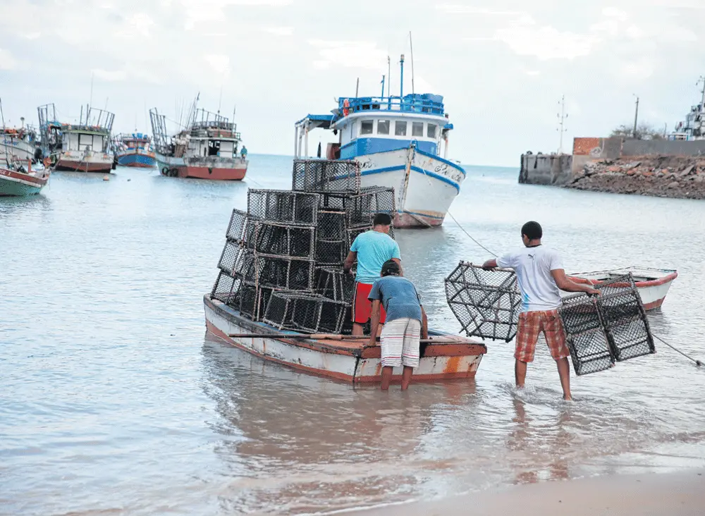 Imagem da notícia: Empresários negociam linha de crédito para modernizar frota de barcos pesqueiros do Ceará