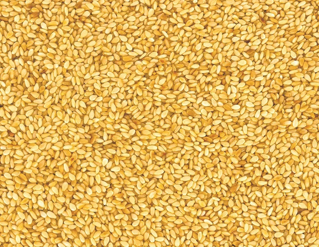 Gergelim É um alimento abundante em antioxidantes e zinco, por isto é ótimo para a pele