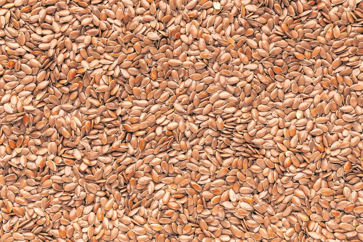 A linhaça é um complemento alimentar rico em fibra, o qual ajuda a acelerar o metabolismo