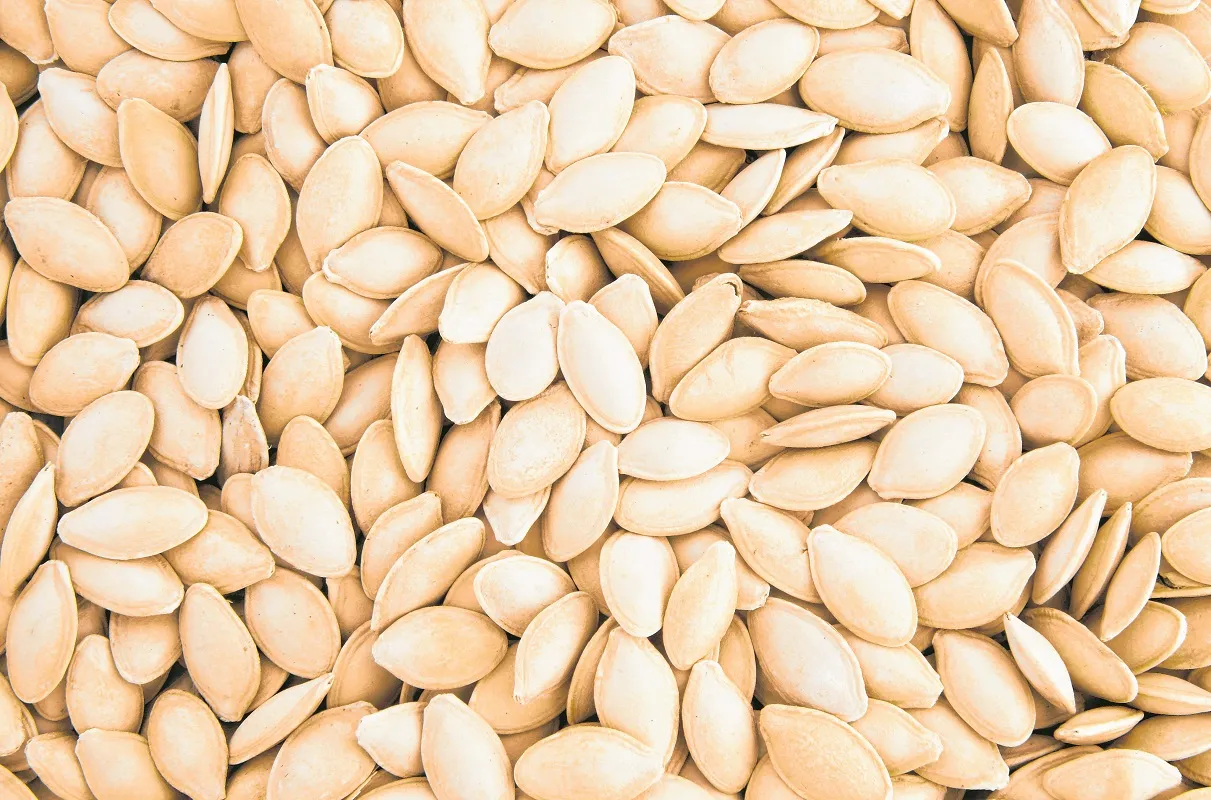 O jerimum favorece a formação de massa magra e proteje as células do corpo. A semente tem ação anti-helmíntica, combatendo os vermes intestinais