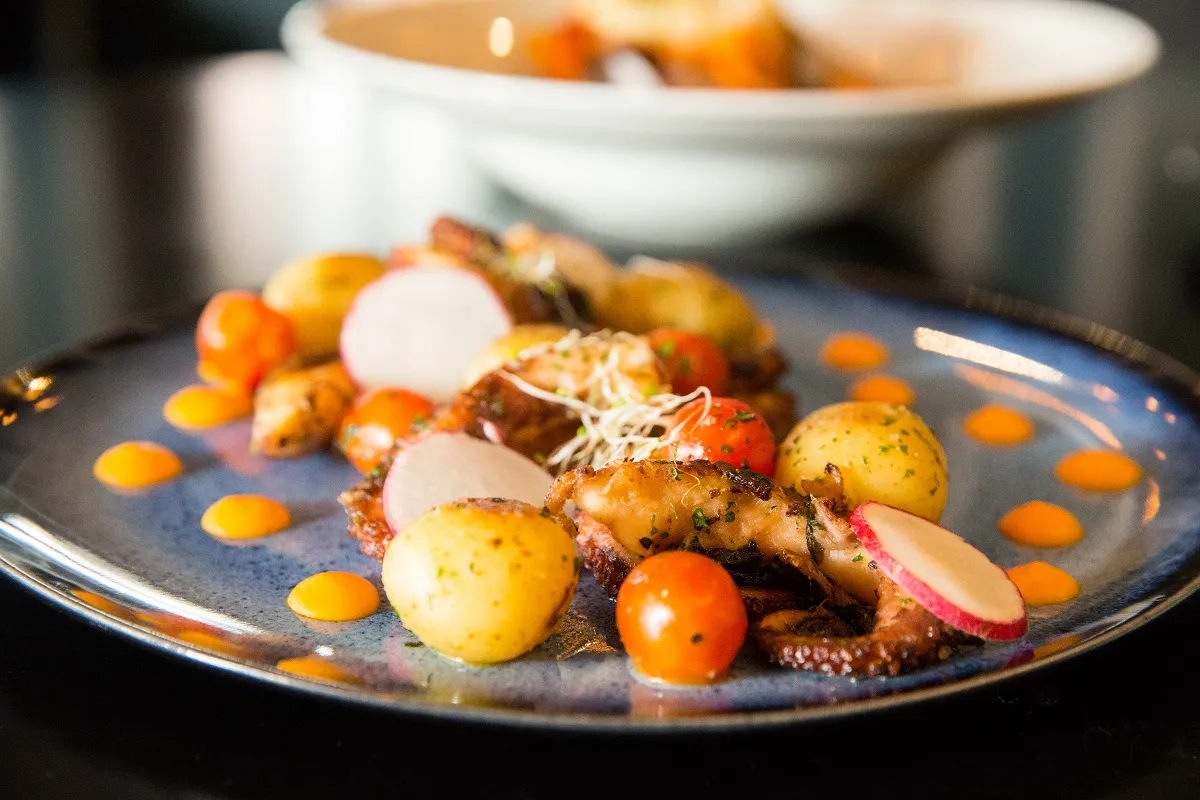 Entrada: polvo fresco confitado com batatas grelhadas, alecrim e tomates no azeite de ervas