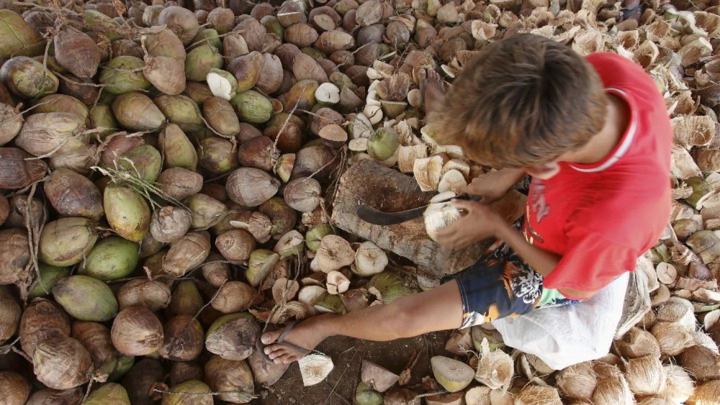 Em 70 cidades cearenses, quase 9 mil crianças e adolescentes trabalhavam no contraturno escolar. A maioria trabalha na agricultura