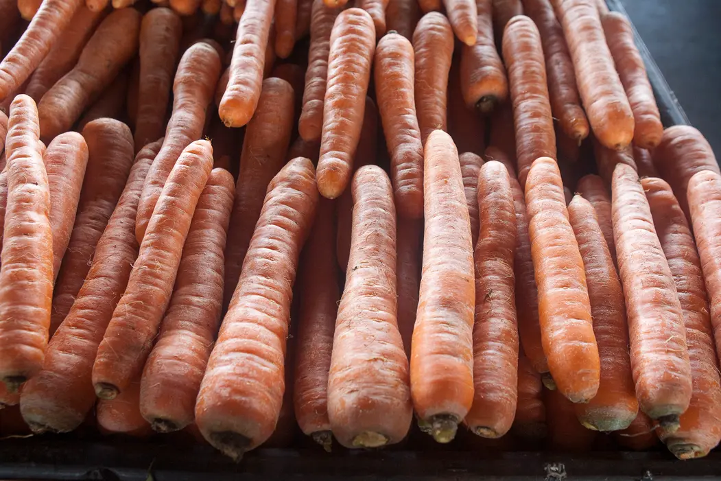 Imagem da notícia: Estudo recente mostra como a má alimentação pode impactar na saúde ocular