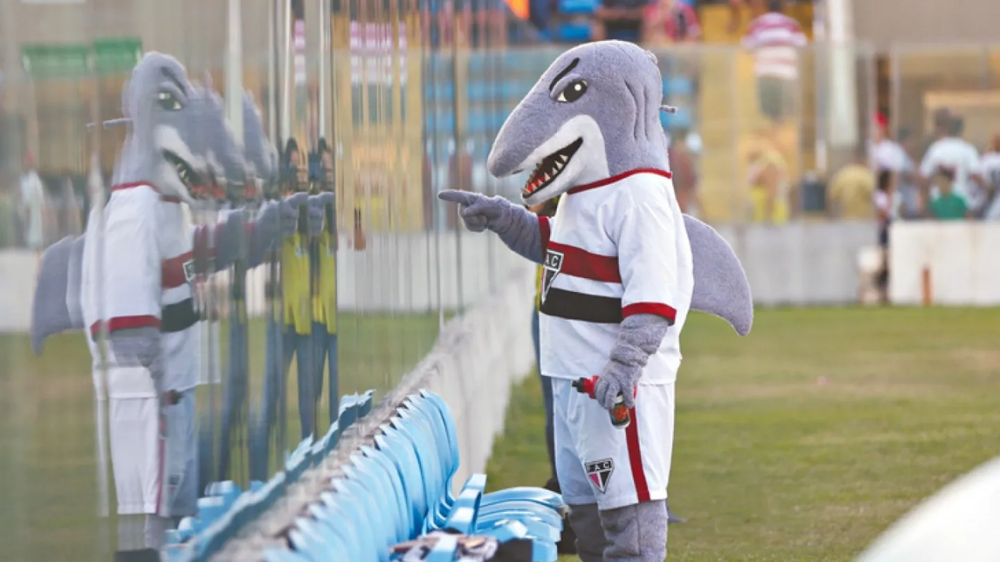 O Tubarão da Barra cresceu de produção quando mudou o comando na temporada