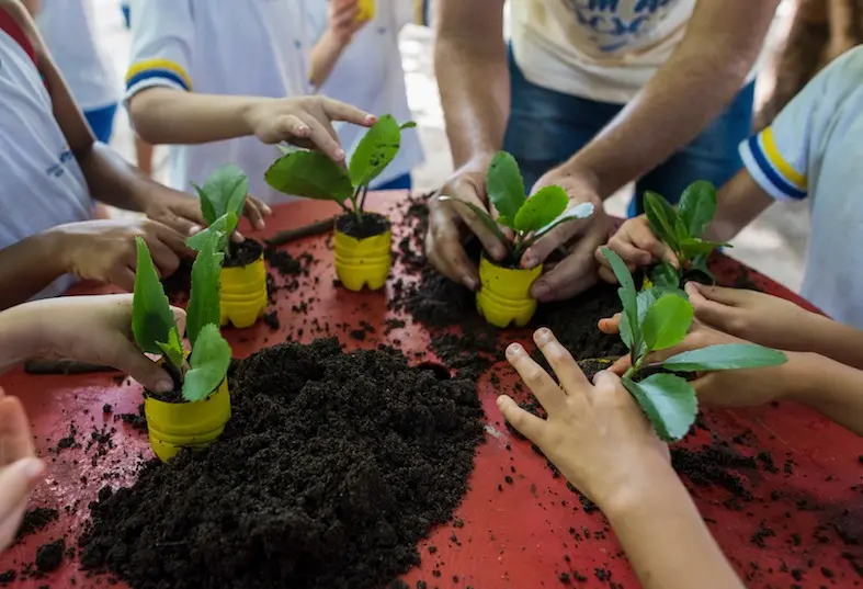 Imagem da notícia Semana do Meio Ambiente online aborda 'Sustentabilidade em Redes'
