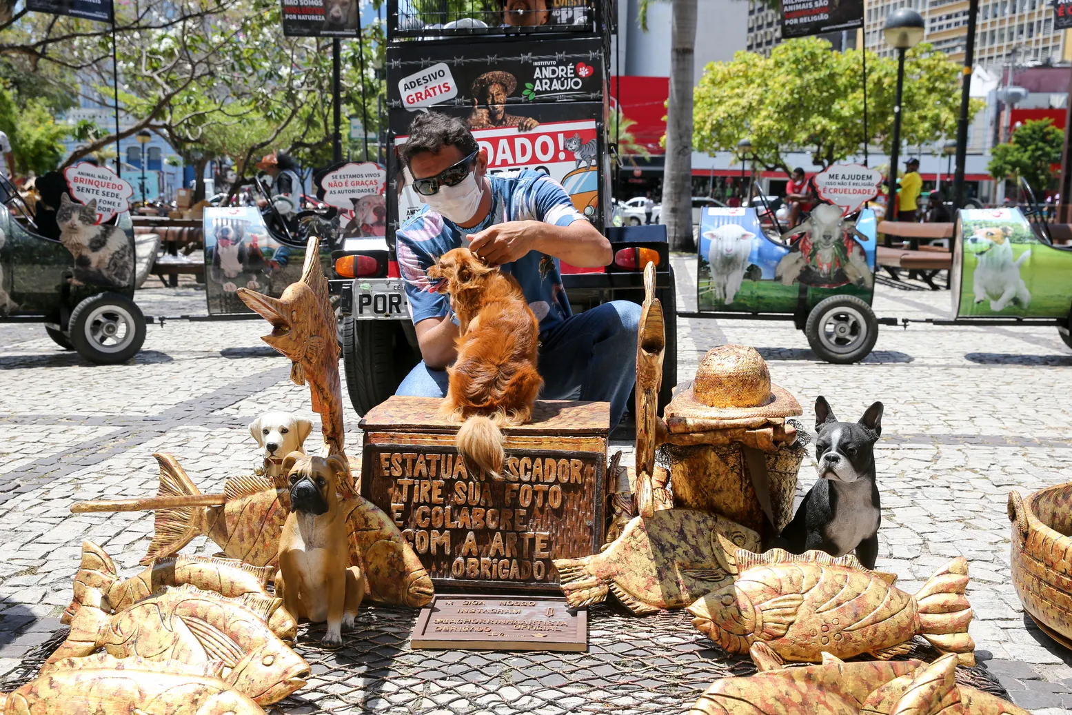 Trenzinho leva informação e conscientização sobre abandono de animais