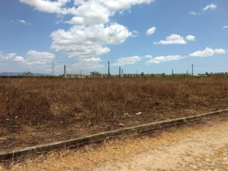 Motorista foi achado sem vida no Araturi