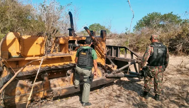 Imagem da notícia: Valores de multas aplicadas na Operação Mata Atlântica em Pé aumentam mais 1.000%, no Ceará 