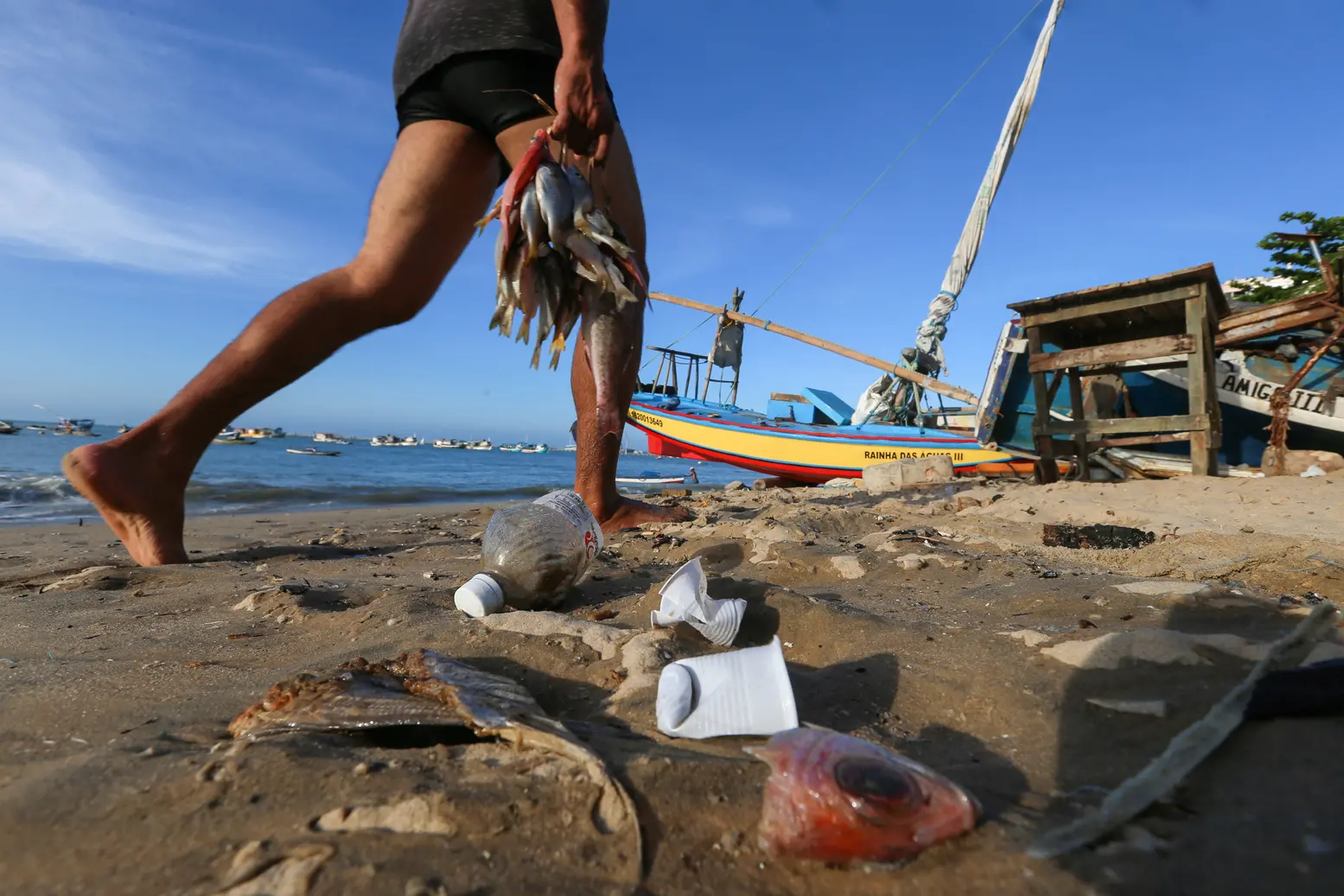 Imagem da notícia: Pesquisa identifica microplásticos em peixes na maioria das espécies da Praia de Iracema