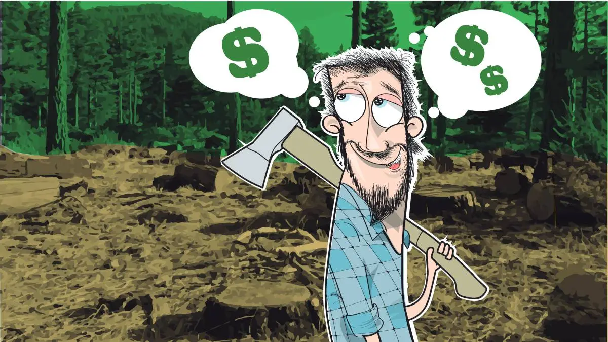 Imagem da notícia: Desenvolvimento sustentável: o que é, exemplos e por que pode cair no Enem