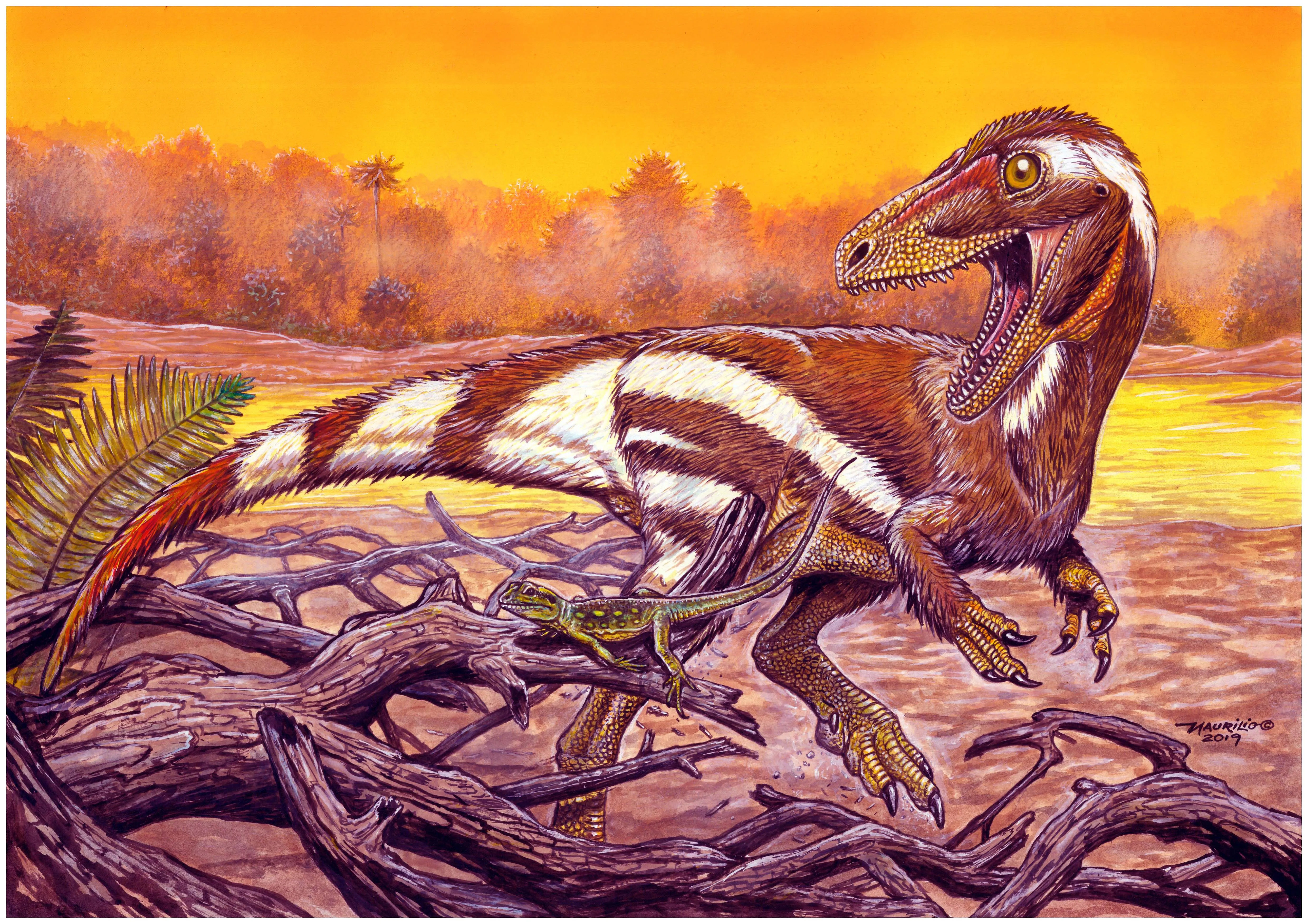 Reconstrução do Aratasaurus museunacionali