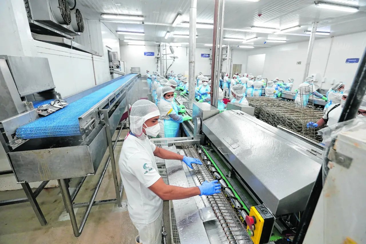 Imagem da notícia: Atividade econômica do Ceará supera média nacional em novembro