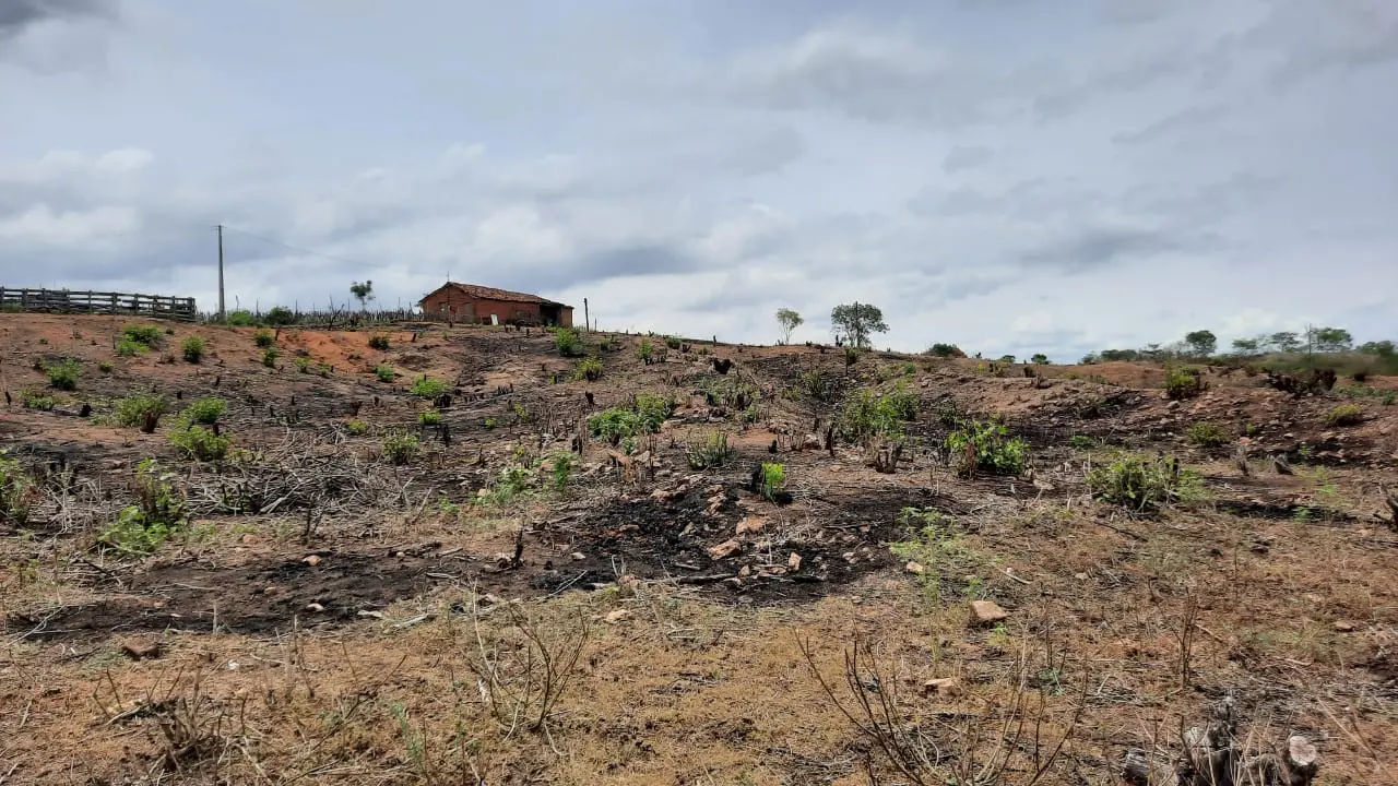 Imagem da notícia: Cidades do Sertão cearense preveem agravamento da crise hídrica com possibilidade de chuvas escassas