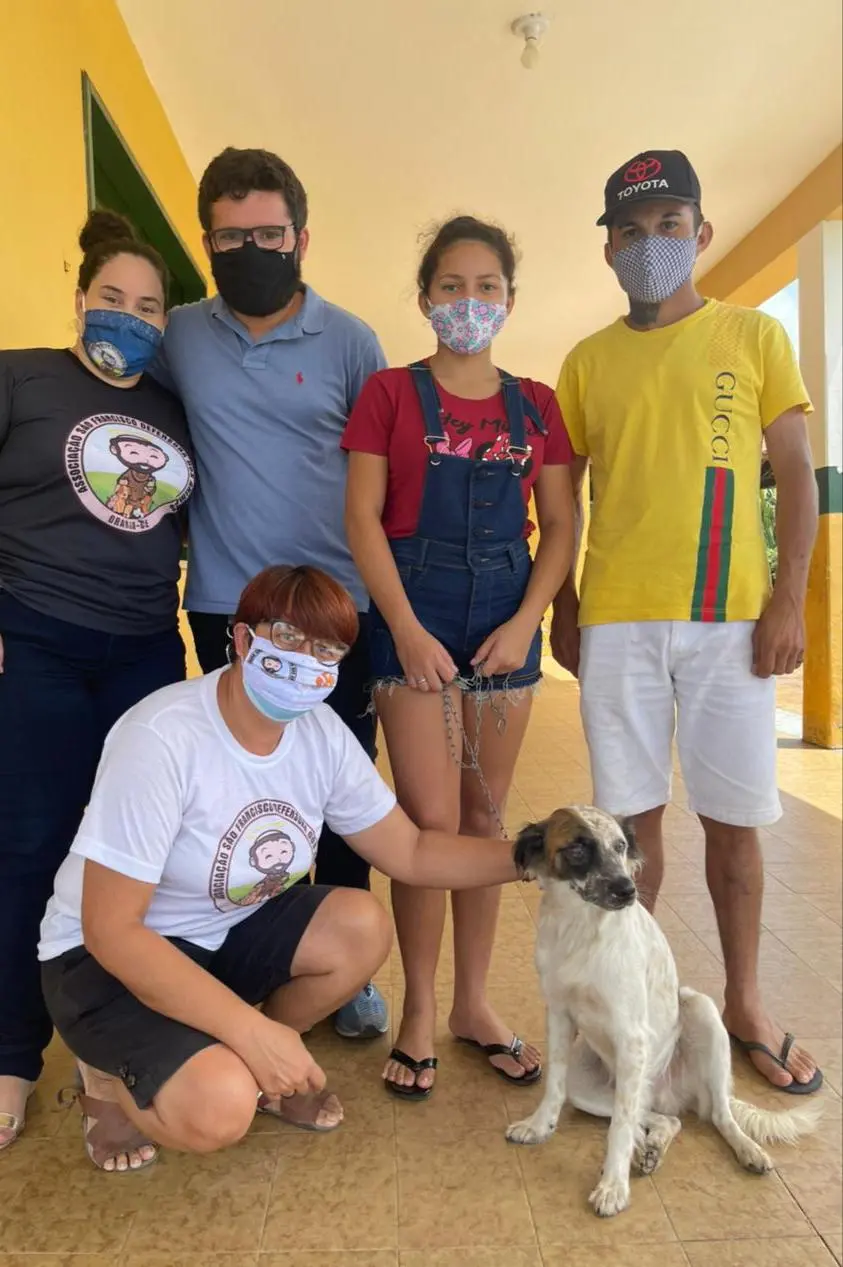 Imagem da notícia: Cachorro baleado no olho em Granja recebe alta médica nesta quarta-feira (17)