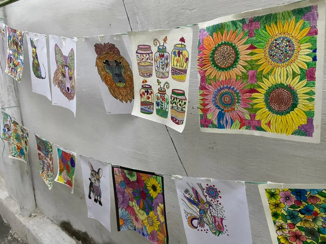 Imagem da notícia: Projeto usa fotografias e pinturas para amenizar o cotidiano dos profissionais de saúde do HGF