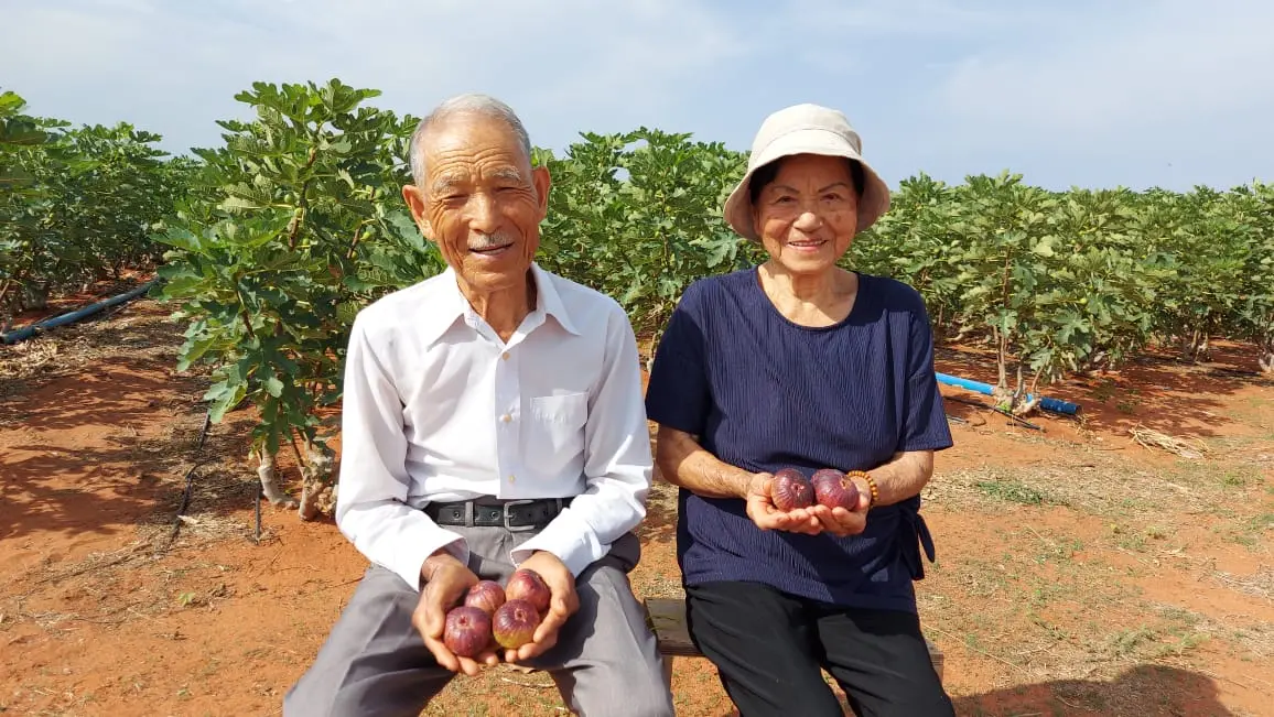 Imagem da notícia: Casal de japoneses de 87 anos se muda para o Sertão do Ceará para realizar sonho 