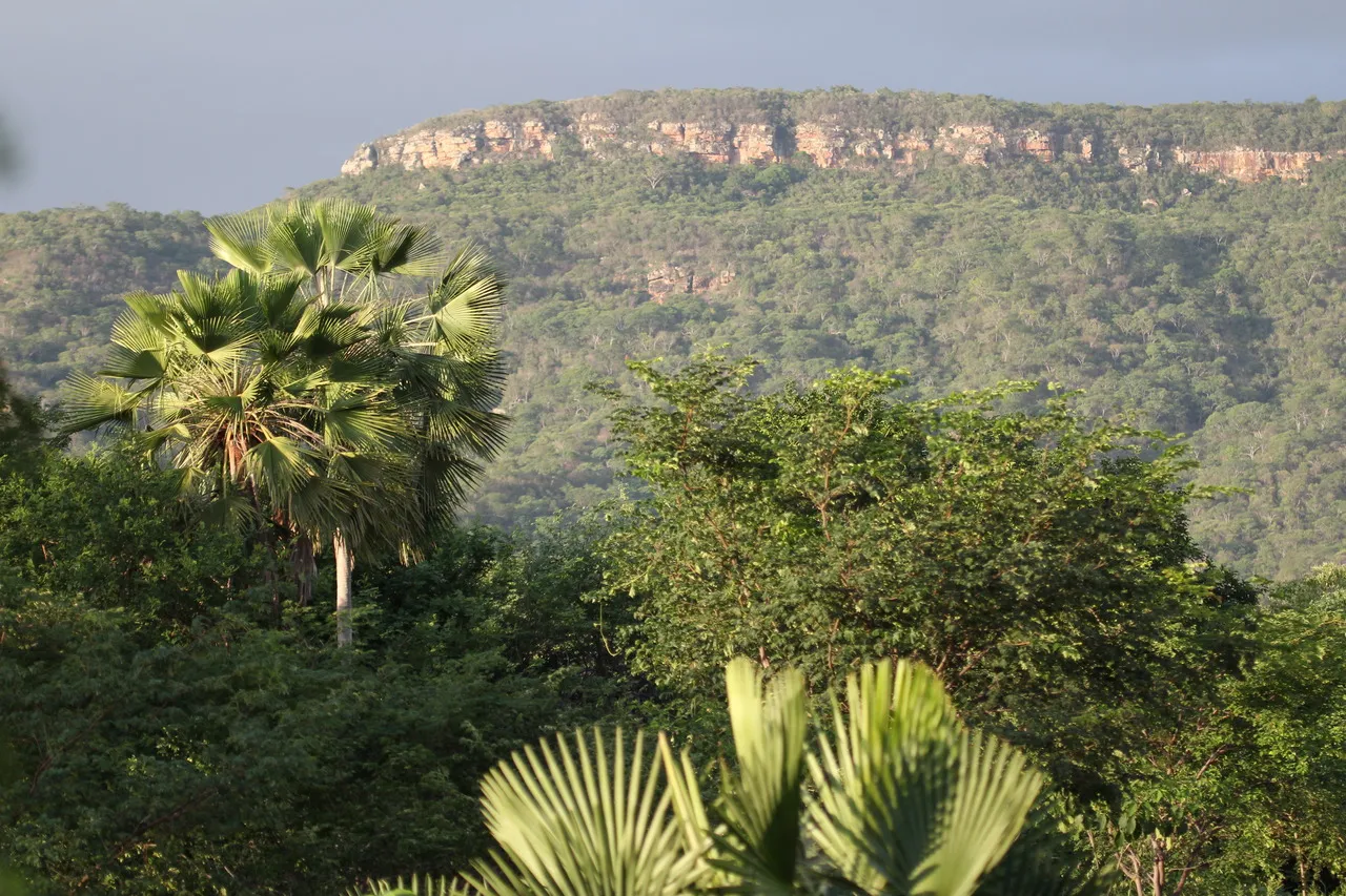 Reserva Natural Serra das Almas fica em Crateús