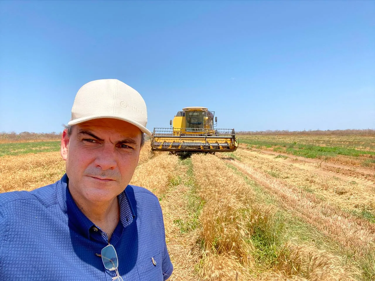 Empresário está expandindo o plantio para Piauí e Maranhão. Produtividade do grão chegou a 6 toneladas por hectare no Ceará