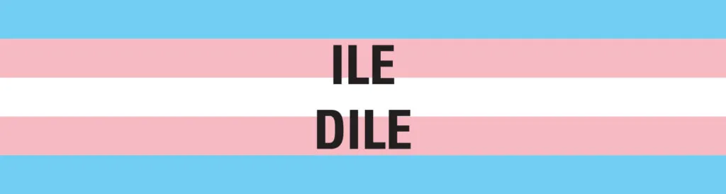 Bandeira do Manifesto Ile para uma Comunicação Radicalmente Inclusiva