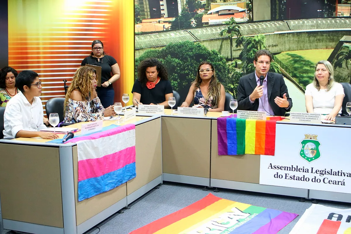 Audiência pública na Comissão de Direitos Humanos da Assembleia Legislativa do Ceará em 2018