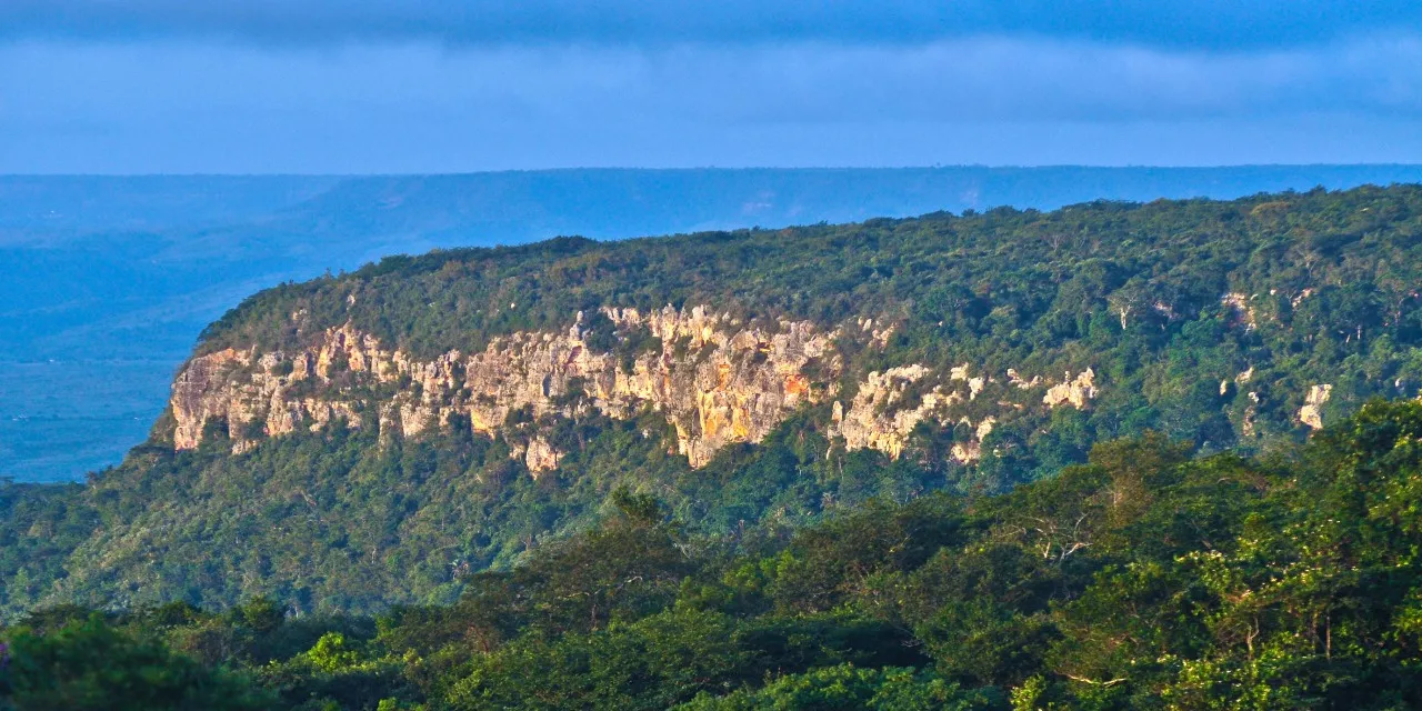Chapada do Araripe, no Sul do Estado, é um dos locais que possui o bioma