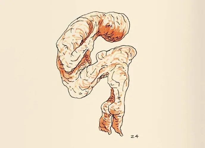Ilustração do escritor e artista visual Lourenço Mutarelli para 