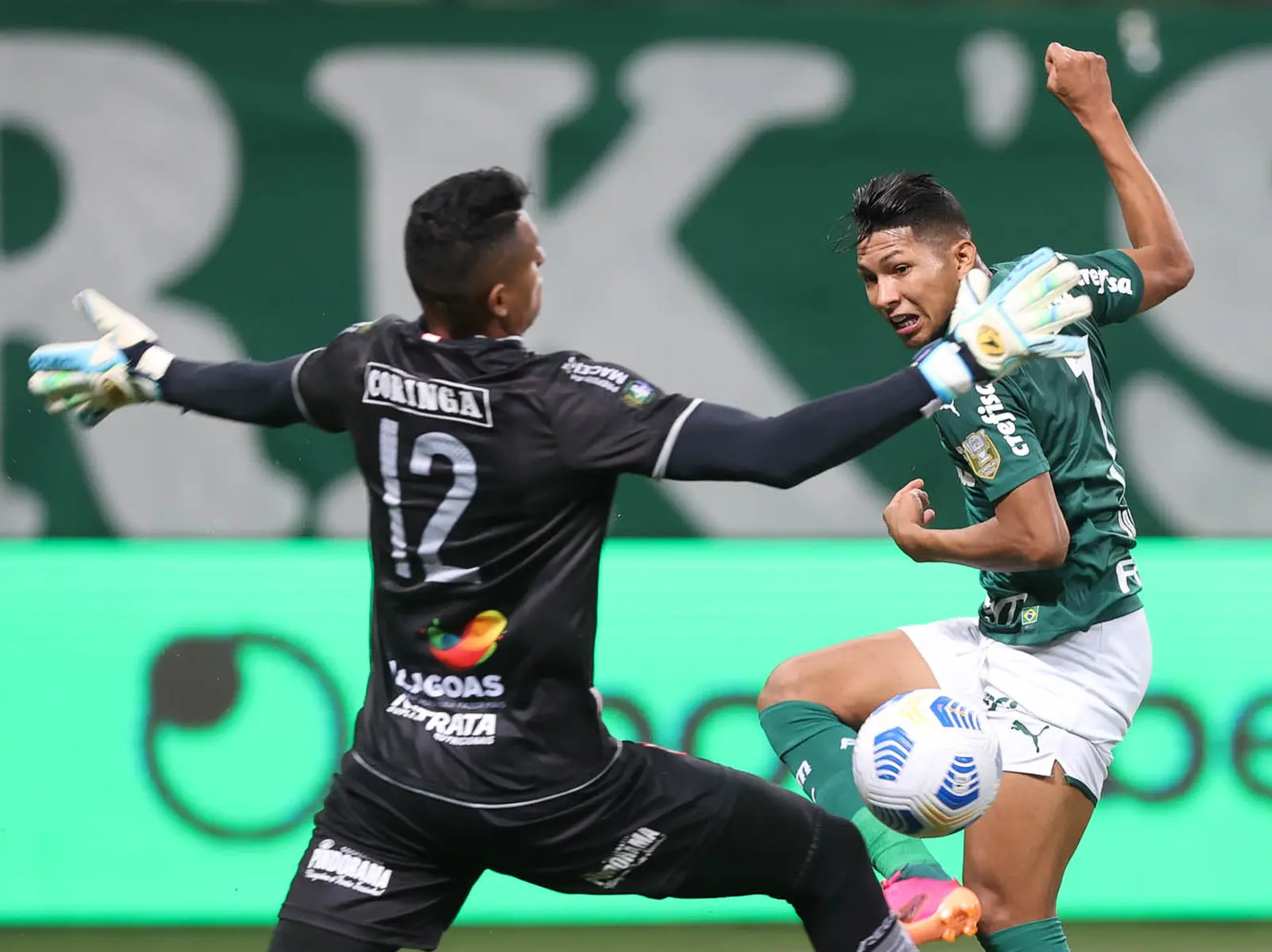 Imagem da notícia: CRB elimina Palmeiras com show de goleiro ex-Ceará; veja tudo da noite nordestina na Copa do Brasil
