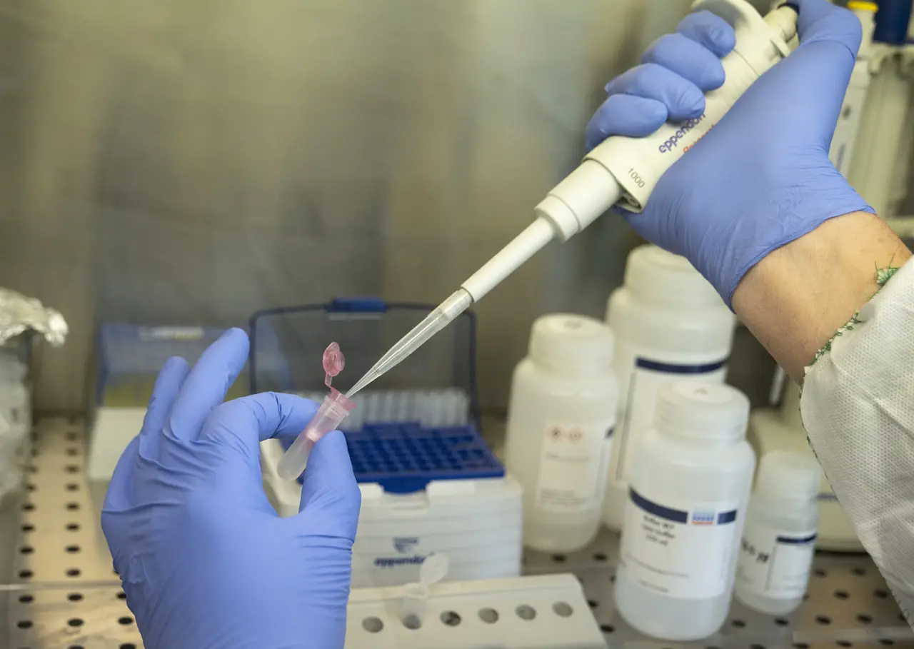 Imagem da notícia: UFMG desenvolve teste para diagnosticar Covid-19 que custa menos de R$ 1