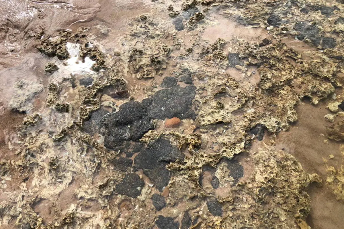 Imagem da notícia: Novas manchas de óleo surgem em praia de Itacimirim, no litoral da Bahia