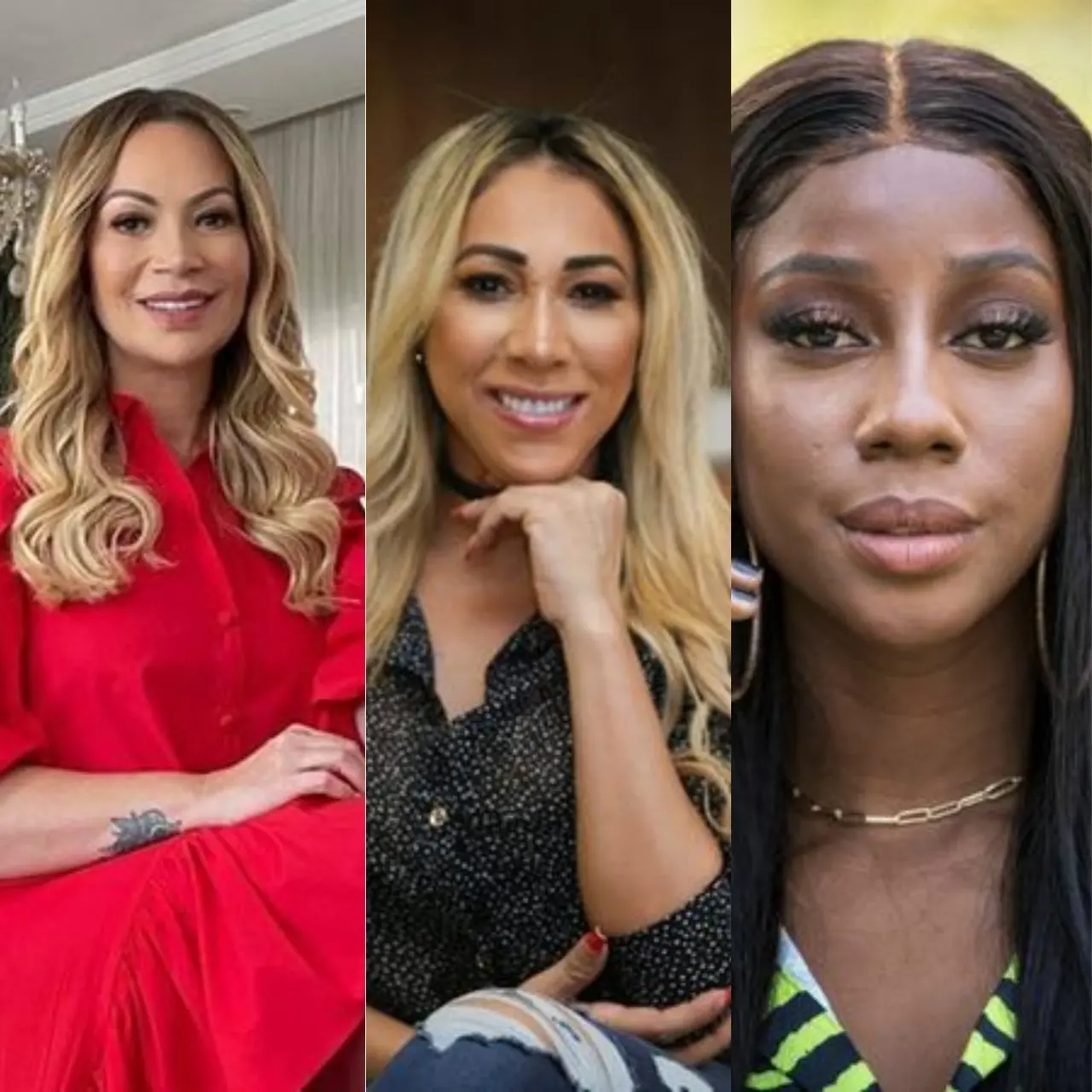 Imagem da notícia: Solange, Taty Girl e Camilla de Lucas manifestam apoio a Pamella Holanda, esposa de DJ Ivis