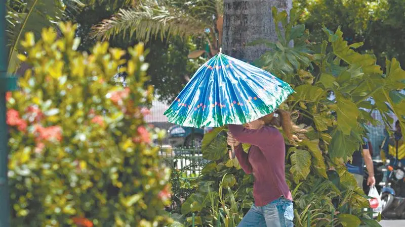 Imagem da notícia: Altas temperaturas como as de Fortaleza podem aumentar mortes por doenças cardiovasculares