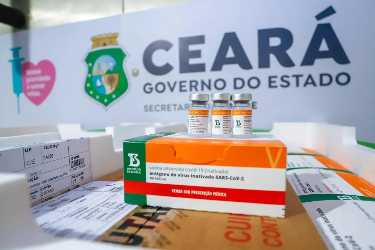 Imagem da notícia: Ceará recebe novo lote com mais de 140 mil doses da vacina CoronaVac 