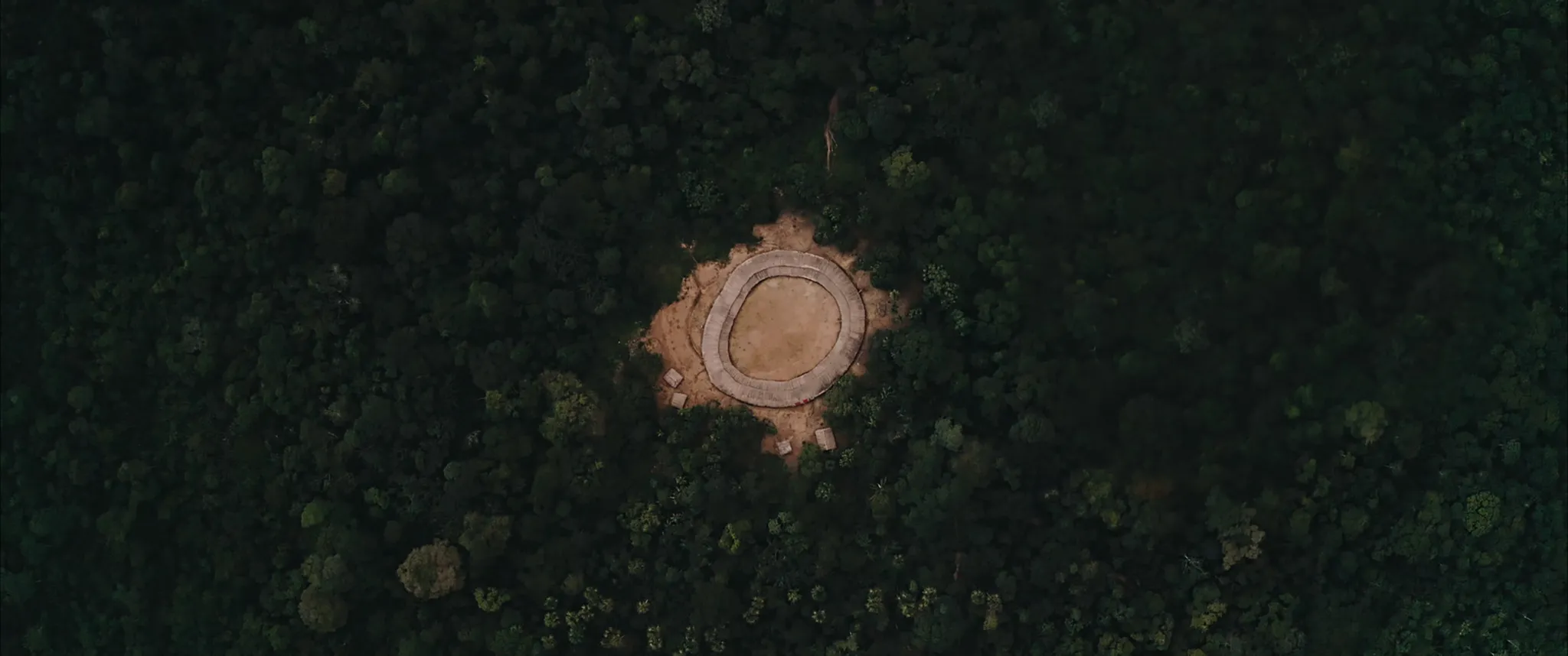 Em 2022, completam-se 30 anos da homologação do território Yanomami