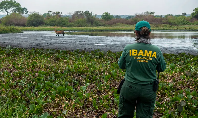 Imagem da notícia: Concursos do Ibama e ICmbio são autorizados pelo Ministério da Economia 