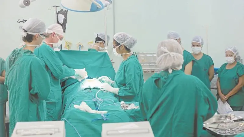 Transplante de medula óssea