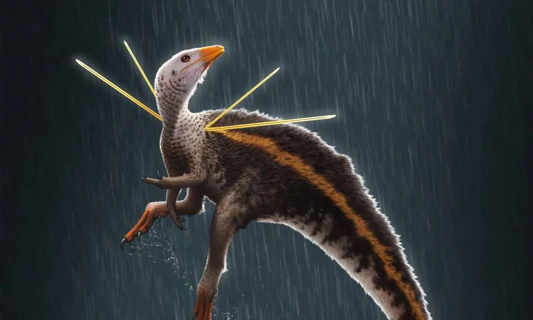 Imagem da notícia: Internautas pedem devolução de fóssil de dinossauro achado no Ceará, e museu alemão responde