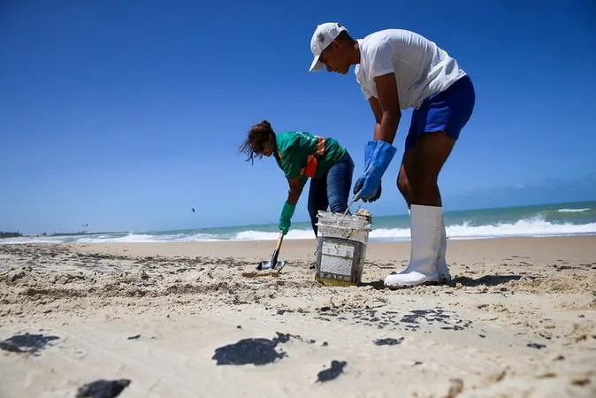 Voluntários se organizaram e contribuíram para a limpeza das praias e resgate dos animais.
