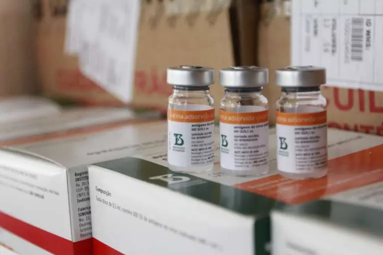 Imagem da notícia: 300 mil doses de CoronaVac compradas no Butantan chegam ao Ceará para aplicação de D1 e D2