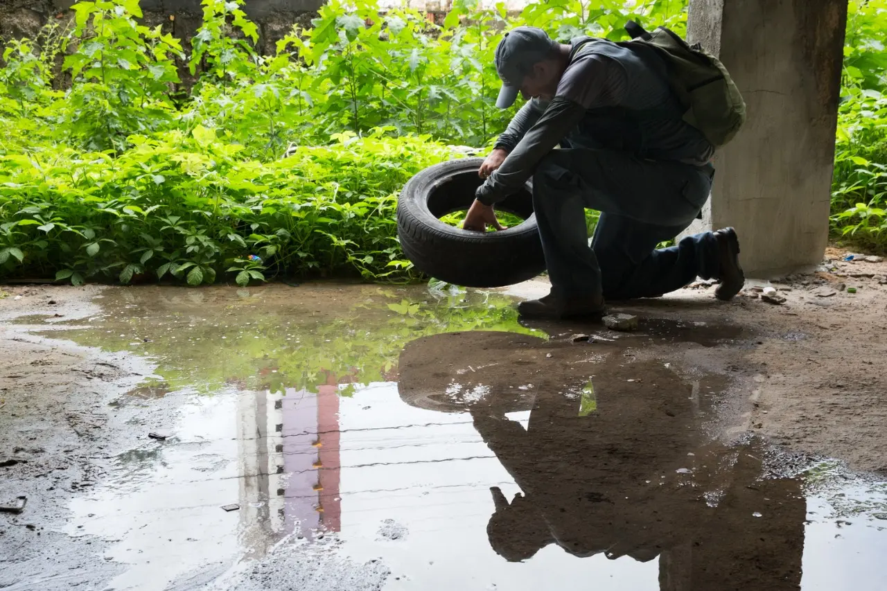 Imagem da notícia: Veja quais cidades do Ceará apresentaram os maiores aumentos dos casos de dengue, zika e chikungunya