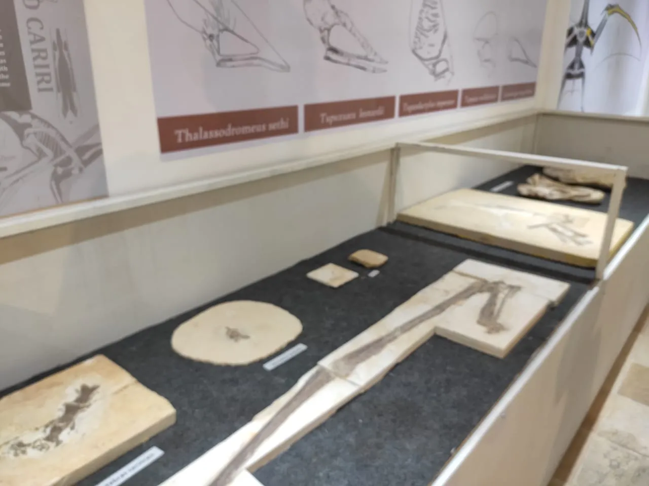 No museus, somente é permitida a entrada de até dois grupos, cada um com no máximo cinco pessoas e é proibido tocar nas peças em exposição