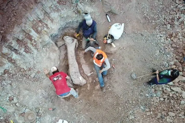 Imagem da notícia: Fóssil de dinossauro desconhecido é encontrado em obra de rodovia no Maranhão