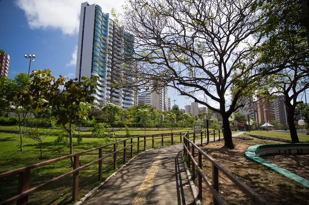 Movimentação no Parque do Cocó: ampla área do local proporciona bons encontros
