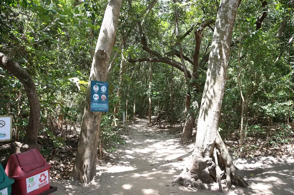 Com fauna e flora características da Mata Atlântica, a Unidade de Conservação Estadual possui também trilhas de passeio