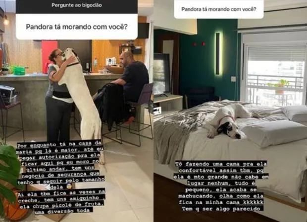 Whindersson respondeu as perguntas dos seguidores do Instagram