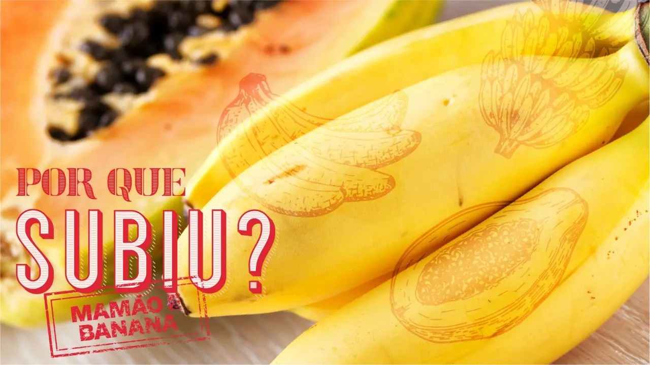 Imagem da notícia: Entenda por que o preço da banana-prata e do mamão subiu em Fortaleza
