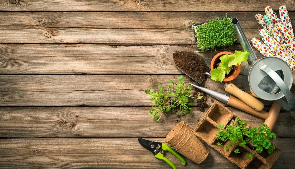 Ferramentas e mudas para começar a construir uma horta caseira.