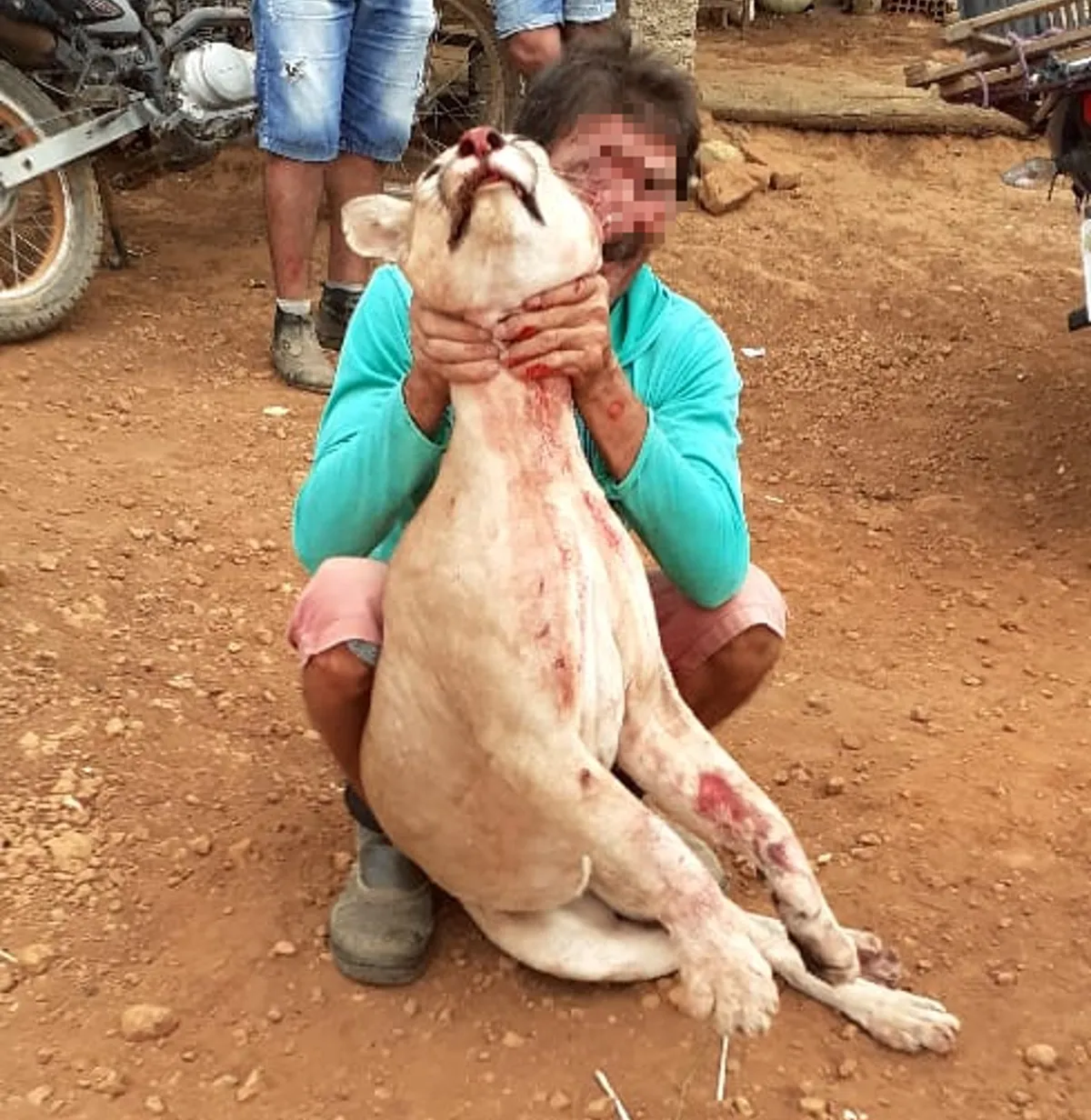 A polícia foi acionada após uma denúncia anônima a membros da ONG Biodiverse, de Crato