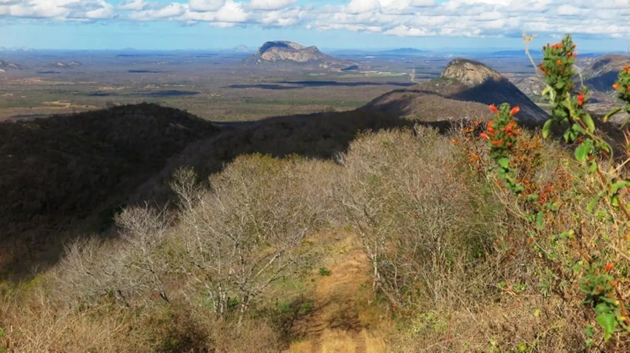 Caatinga