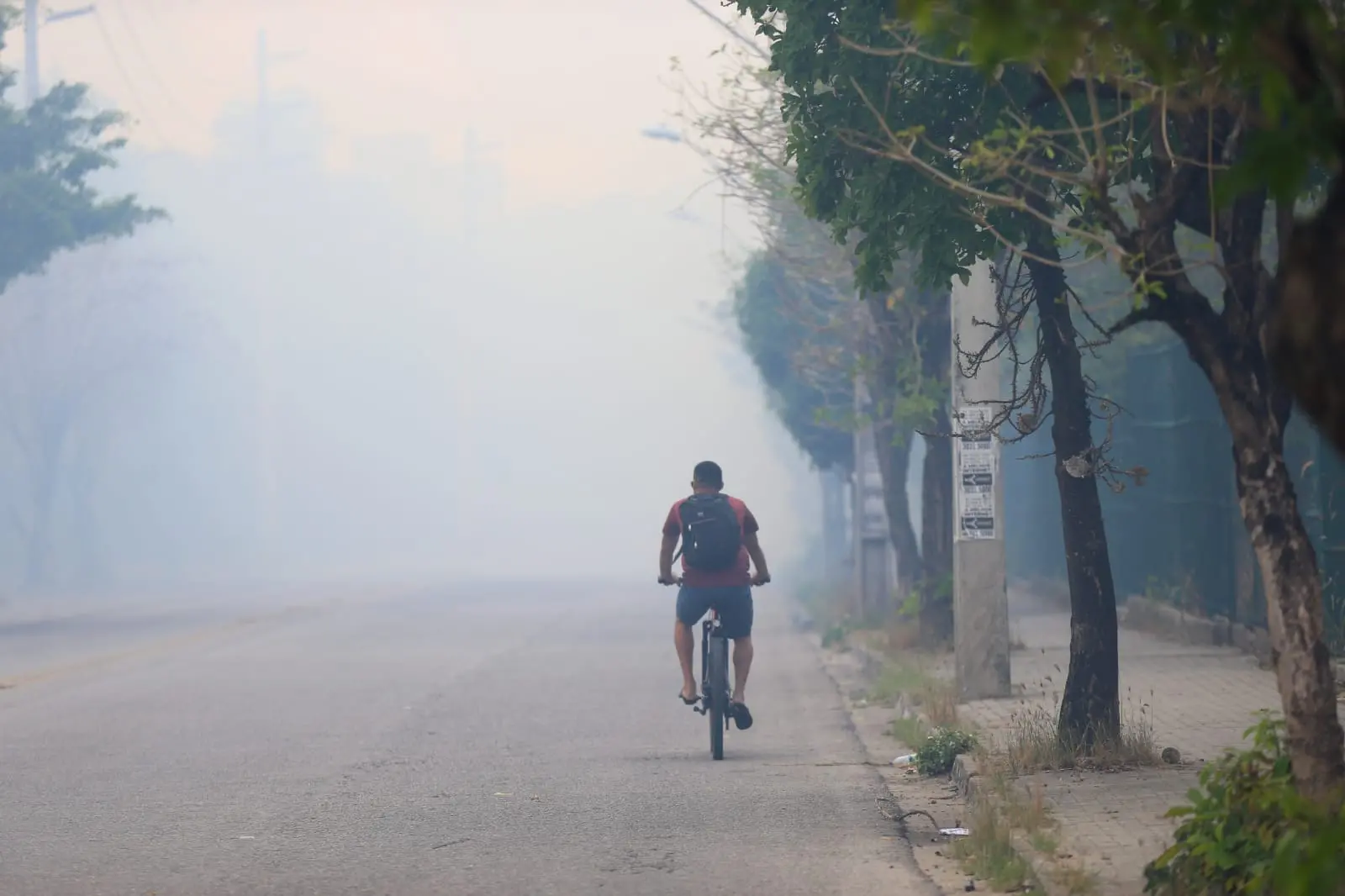 Imagem da notícia: Áreas de Fortaleza amanhecem cobertas por fumaça após incêndio no Parque do Cocó