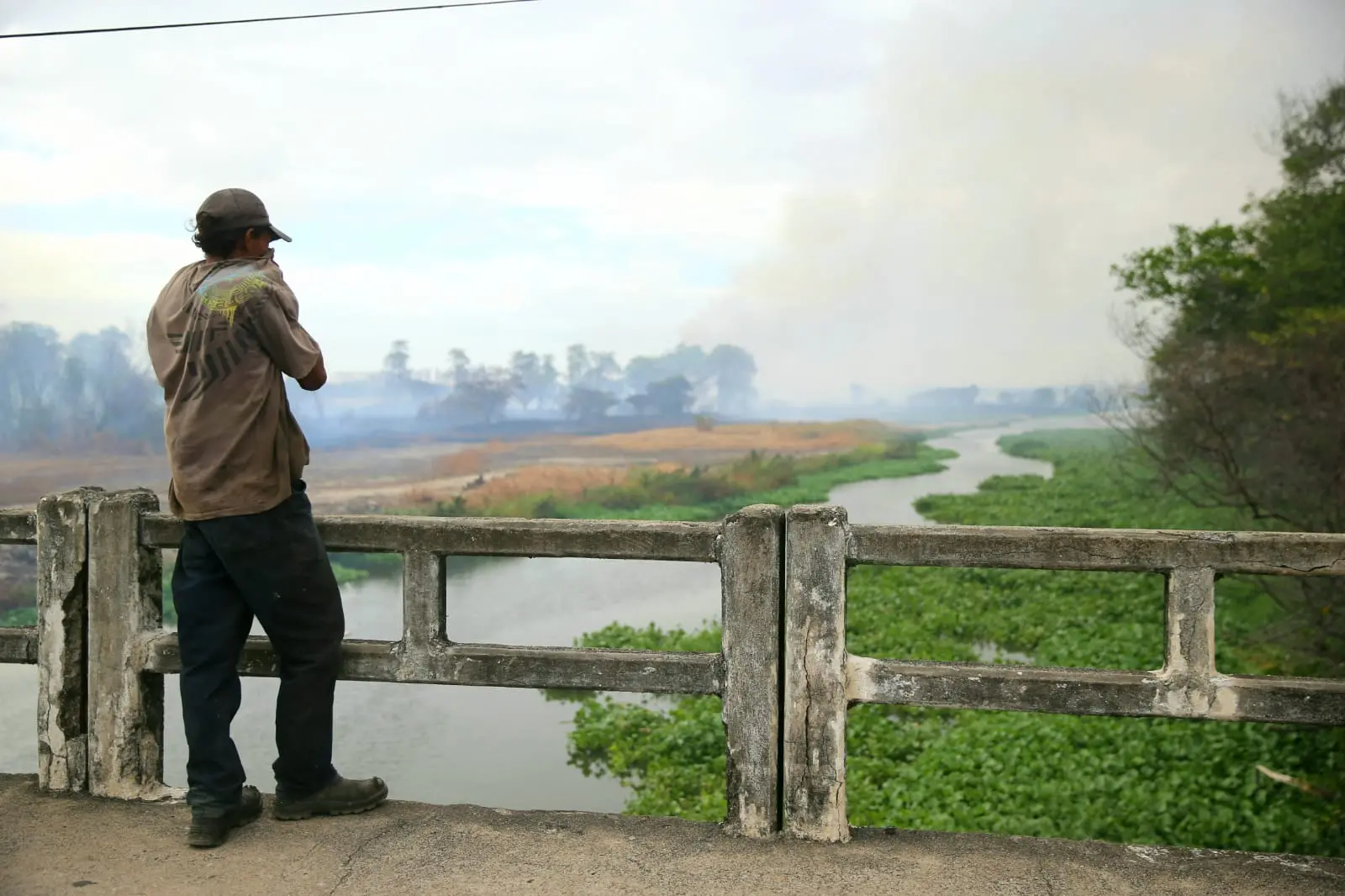 Imagem da notícia: Veja os principais riscos de inalar fumaça de incêndio como a do Parque do Cocó, em Fortaleza 